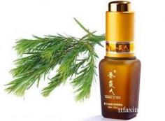 教你茶树精油的使用方法 美容护肤舒缓压力