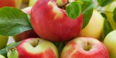 三日苹果减肥法瘦15斤 最有效的懒人减肥法